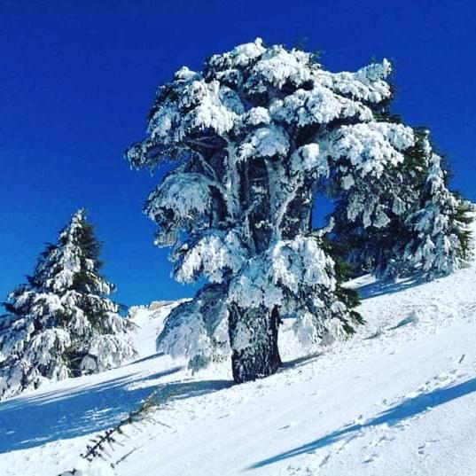 Dar Casa Plasa Grande Šafšawán Exteriér fotografie