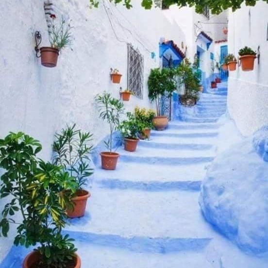 Dar Casa Plasa Grande Šafšawán Exteriér fotografie